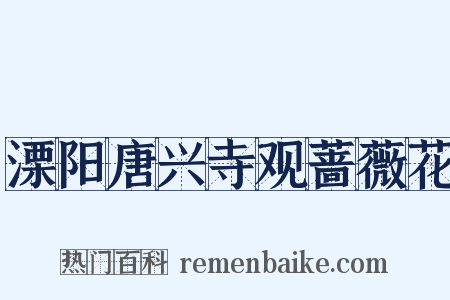溧阳唐兴寺观蔷薇花是什么意思的图片